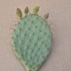 Opuntia phaeacantha